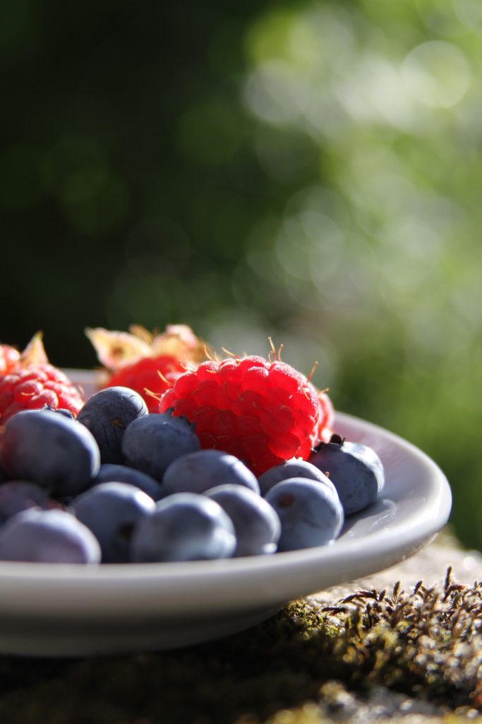 blueberries and rasberries on a plate outside morning sickness remedies